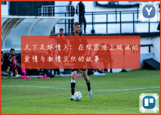 天下足球情人：在绿茵场上绽放的爱情与激情交织的故事