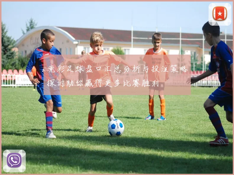 竞彩足球盘口汇总分析与投注策略探讨助你赢得更多比赛胜利